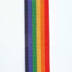 D'Addario® Rainbow Guitar Shoulder Strap/Guitar Electric Guitar/2 inch BE CORE POLYPROPYLENE GUITAR STRAP ** Made in Canda **