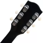 Setsuko SP-B41C 41-inch SPROUT SERIES by Kazuki Dreadnoukt Wooden Basswood Ivory Card TEADERS + Free