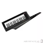 Korg: RK-100S 2 By Millionhead (Keyboard Synthizer Size comes with many sound preparations).