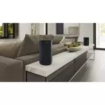 Sony Sa-RS5 Wireless Surround speaker with built-in battery for Sony HT-A7000 (1 year Sony warranty)