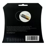 ROAD DOG AC12, airy guitar, number 12, special coating, Phosphor Bronze Extra Light Special, 0.12 - 0.53