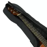 PARAMOUNT, 34 -inch / 36 inch airy guitar bag, thick water buffalo, double zipper system, with a storage in front of the VIP Acoustic Guitar Gi.