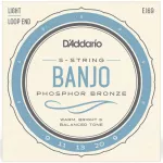 D’Addario® EJ69 Banjo String สายกีตาร์แบนโจ สายแบนโจ 5 สาย เบอร์ 9 แบบ Phosphor Bronze Light Gauge , 0.009 - 0.020 **