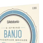 D’Addario® EJ69 Banjo String สายกีตาร์แบนโจ สายแบนโจ 5 สาย เบอร์ 9 แบบ Phosphor Bronze Light Gauge , 0.009 - 0.020 **