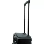 Ace PWF-8AB ลำโพง Portable PA Speaker 50W ดอก 8" MP3/FM/บลูทูธ มีแบตในตัว พร้อมไฟแสงสี + แถมฟรีไมค์ & รีโมท ** ประกันศู