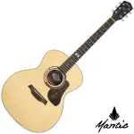 Mantic GT-1G, 41 inch GRED AUDITORIUM shape