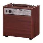 Lirevo® A30 Acoustic Amp, Amplifier Amplifier Amplifier 30 Watts to Bluetooth can be connected to the mic and Chorus/delay/RE effect.