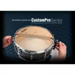 Puresound™ CPS1424 สายสแนร์ แส้สแนร์ 14 นิ้ว แบบ 24 เส้น 24-String Snare Wire ** Made in USA **