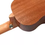 Caesar UT-43 Concert Ukulele อูคูเลเล่ ไซส์ Concert 24 นิ้ว ไม้ Sapele ลายไม้ เคลือบด้าน + แถมฟรีกระเป๋าอูคูเลเล่