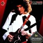 [USA 100%authentic] Picky guitar Jim Dunlop Nylon Standard 44 R [with checking QC from the shop] [Red turtle guaranteed] Red turtle