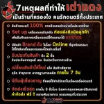 [Bangkok & Metropolitan Region Send Grab Quick] Planet Waves PWCM - Chordmaster Planet Waves PWCM [Free free gift] [with checking QC] [100%authentic] [Free delivery] Red turtle