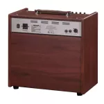 Lirevo® A120 Acoustic Amp Amp Amp, Amp, 120 Watts with Tweet Speaker Can connect to the phone via Bluetooth to the microphone with effects