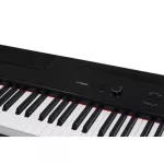 Artesia PA-88H Piano Digital Piano 88 Digital Electric Piano + Free Piano DF111 & Pedal & Adapter ** 1 year Insurance