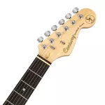 CENTURY CE-A38 Electric guitar Strat 22 Freck, Beetle, Pickle Pickle Coil + Free Car Stock & Bag & Tuner & Set