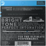 D'Addario® ESXL110 Guitar Cut Electric guitar cable number 10 Nickel Wound 100% authentic Double Ball End Regular