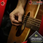 [USA 100% authentic] [Buy 12, 5% discount] Pick guitar Jim Dunlop Tortex Flow Standard [with check QC] [Red turtle guaranteed] - Red turtle