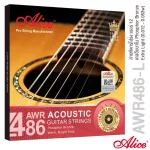 Alice® AWR486 Airy Guitar Nano polished coating nano coating. Stephor Bronze