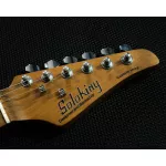 Soloking® MS-1 Classic Roasted Maple HSS Electric guitar 22 Fret Jumbo Straat Elder Wooden Maple Maple Maple Maple HSS ** Center Insurance