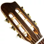 Lapatrie® Etude, 41 -inch classic guitar, size 4/4, Top Sol, Nubone Graphtech + free bag ** Made in C