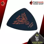 [USAแท้100%] [แถมฟรี 2 ตัว เมื่อซื้อ 1 โหล] ปิ๊กกีต้าร์ Clayton Black Raven Rounded Triangle - Pick guitar ปิ๊กอีกาดำ ทุกขนนาด [พร้อมเช็ค QC] เต่าแดง