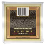 ERNIE BALL® Banjo 5 Bluegrass 80/20 Bronze 100% authentic Earthwood 5 -string banjo Bluegrass .009 - .020 P02063 ** Made in USA **