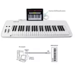 Midiplus Easy Piano Piano Fah / Digital Piano 49 Electric Piano 49 Keys + Free Piano DF111 & USB Credit ** 1 year Insurance **