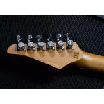 Soloking® MS-1 Custom Roasted Maple HSS กีตาร์ไฟฟ้า 22 เฟรต จัมโบ้ ทรง Strat ไม้เอลเดอร์ คอไม้เมเปิ้ล ฟิงเกอร์บอร์ดไม้เมเปิ้ล ปิ๊กอัพ HSS ** ประกันศูน