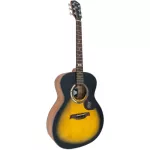 Mantic GT-1G, 41 inch guitar, Grand Auditorium shape, Angle Mandrus/Cherry Wood + Free Bag & Kapo