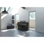 ROLAND® HP-704 Piano Fah 88 Key, PH-50, 291, 392 songs per Bluetooth/USB/headphones + free pair