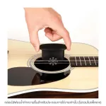 D'Addario® GHP-RS Replacement Humidifier Sponge That adds moisture, sponge for moisture, D'Addari