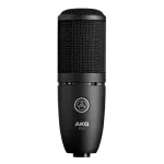 AKG® P120 Large-Diaphragm Condenser Microphone ไมค์คอนเดนเซอร์ ไดอะแฟรม 2/3" ความถี่ 20Hz-20kHz รับเสียง Cardioid มีปุ่