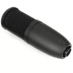 AKG® P120 Large-Diaphragm Condenser Microphone ไมค์คอนเดนเซอร์ ไดอะแฟรม 2/3" ความถี่ 20Hz-20kHz รับเสียง Cardioid มีปุ่