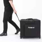 Roland® Cube Street EX PA PACT Open a 100 -watt hat, can play 3 types of musical instruments, can play batteries + free wheel bag
