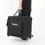 Roland® Cube Street EX PA PACT Open a 100 -watt hat, can play 3 types of musical instruments, can play batteries + free wheel bag