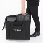Roland® Cube Street EX PA PACT Open a 100 -watt hat, can play 3 types of musical instruments, can play batteries + free wheel bag