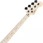 Century DJB DARK SERIES BAST 20 Frete Hardware + Free Bag & Cleaner & Jack & Cleaning* 1 year Insurance