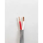 Send every day/1 meter. Dynacom JSL 230 speaker cable. PA 2C X 14awg speaker.