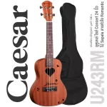 Caesar U243 Concert Ukulele อูคูเลเล่ ไซส์ Concert 24 นิ้ว ไม้ Sapele ฉลุลวดลายน่ารัก เคลือบด้าน + แถมฟรีกระเป๋าอูคูเลเล่