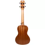 Caesar U243 Concert Ukulele Ukulele Size 24 inch SAPELE SAPELE Cute Striped Steam + Free Ukulele Bag