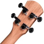 Caesar U243 Concert Ukulele Ukulele Size 24 inch SAPELE SAPELE Cute Striped Steam + Free Ukulele Bag