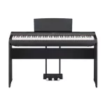 Yamaha® P-125A Digital Piano Piano Piano, Digital Piano 88, Key Speaker Key GHS + Free Chair & Adapater & Note ** Center Insurance