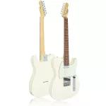 Maya MTE-60, Electric guitar 22 Frets Alder/Maple Pickles, Single, Vintage Coil ** JAPAN SINCE 1970 **