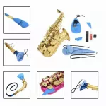 RASVONE SAC-S10, 10-piece saxophone cleaning kit, consisting of towels / brush / CORK / GREASER / Case collection tongue / place
