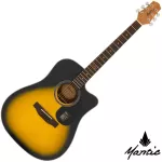 Mantic AG-1C, 41-inch guitar, Dreadnouguay shape
