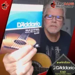 [USA 100%authentic] [1 set, 6 lines] Airy guitar wires D'Amdario EJ40 Silk & Steel Folk [with QC check] Red turtle