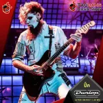 [USA 100%authentic] [Buy 12 5%discount] Pick guitar Jim Dunlop Jim Root Nylon Pick 447-JR138 [with QC check from the shop] [Red turtle guaranteed] Red turtle