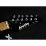 Soloking® MS-2 Custom Roasted Maple HSH กีตาร์ไฟฟ้า 22 เฟรตจัมโบ้ ทรง Strat บอดี้ท็อปเมเปิ้ล คอเมเปิ้ล ฟิงเกอร์บอร์ดไม้เมเปิ้ล ปิ๊กอัพ HSH ** ประกันศู