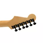 D'Addario® PWAT-6R2 electric guitar knob There is a good black cable mechanism + free bolts and Auto-Trim Locking tun.