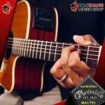 [Free delivery when buying 3 sets] [1 set 6 lines] Martin Marquis Silked 80/20 Bronze [with QC] [Free delivery] Red turtle