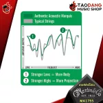 [Free delivery when buying 3 sets] [1 set 6 lines] Martin Marquis Silked 80/20 Bronze [with QC] [Free delivery] Red turtle